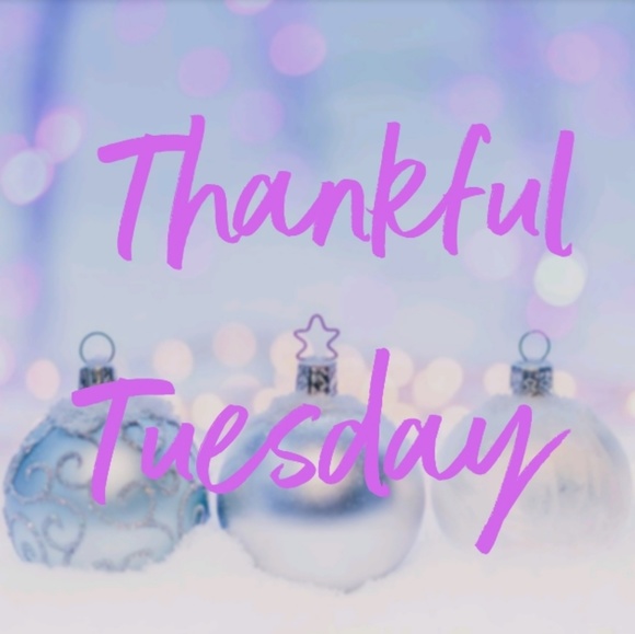 Everything - Picture 2 of 2